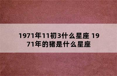 1971年11初3什么星座 1971年的猪是什么星座